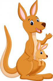 Kangaroo.jpeg